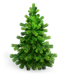 Распродажа растений