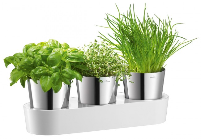 Пряные травы